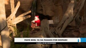 Papá Noel en Bioparc