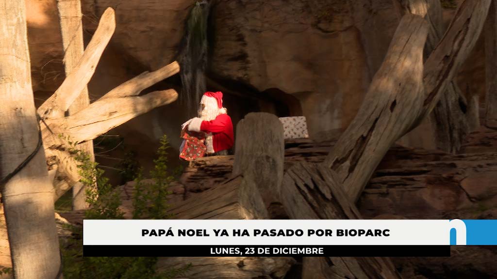 Lee más sobre el artículo Papá Noel en Bioparc