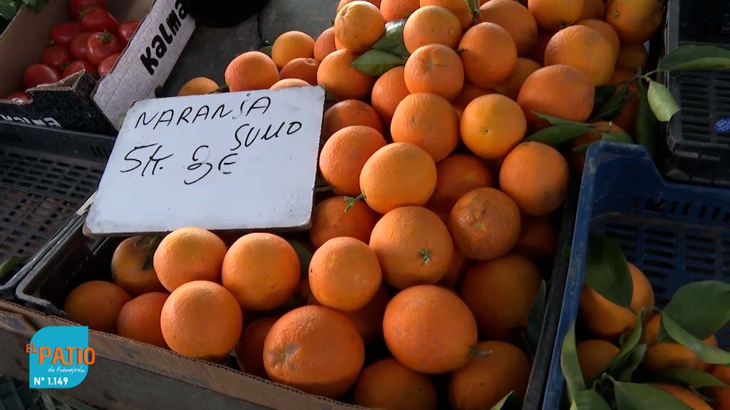 Lee más sobre el artículo Mercadillo de los martes