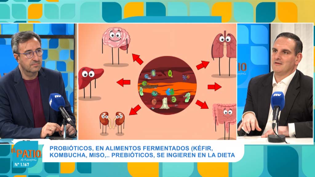 Lee más sobre el artículo LA IMPORTANCIA DE LA MICROBIOTA
