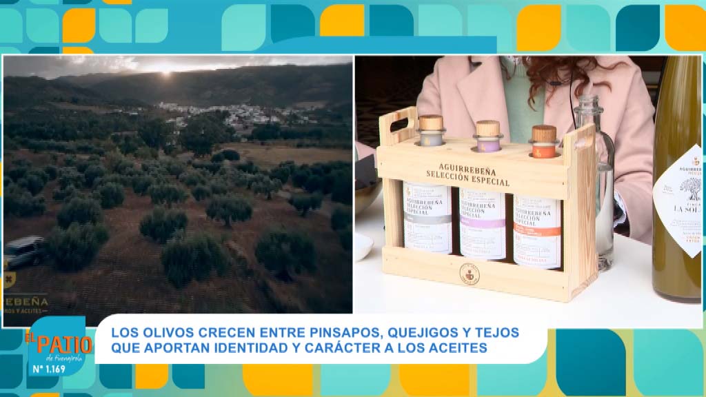 Lee más sobre el artículo Andalucía, líder en exportación de aceite