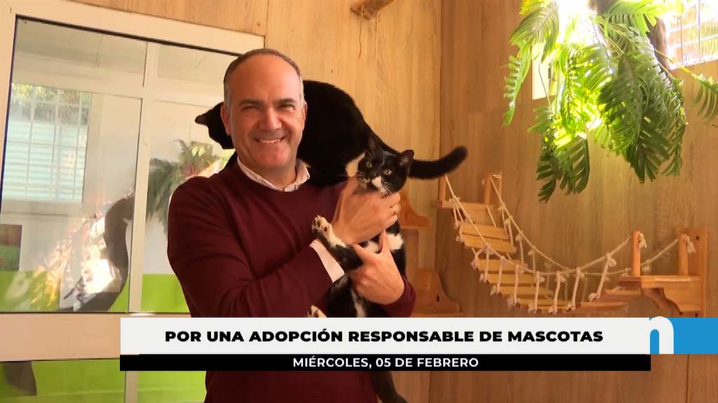 Lee más sobre el artículo 38 mascotas fueron adoptadas en Fuengirola en 2024