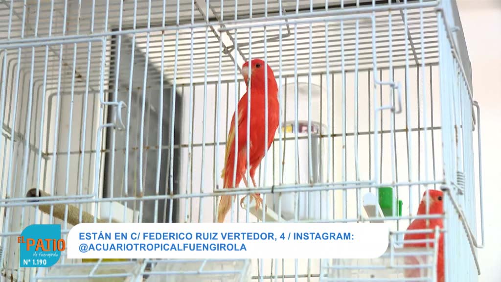 Lee más sobre el artículo Más de 20 años cuidando de nuestras mascotas