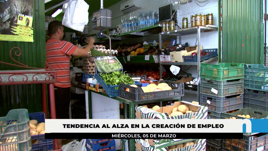 Lee más sobre el artículo El desempleo disminuye en Fuengirola en un 9’65%