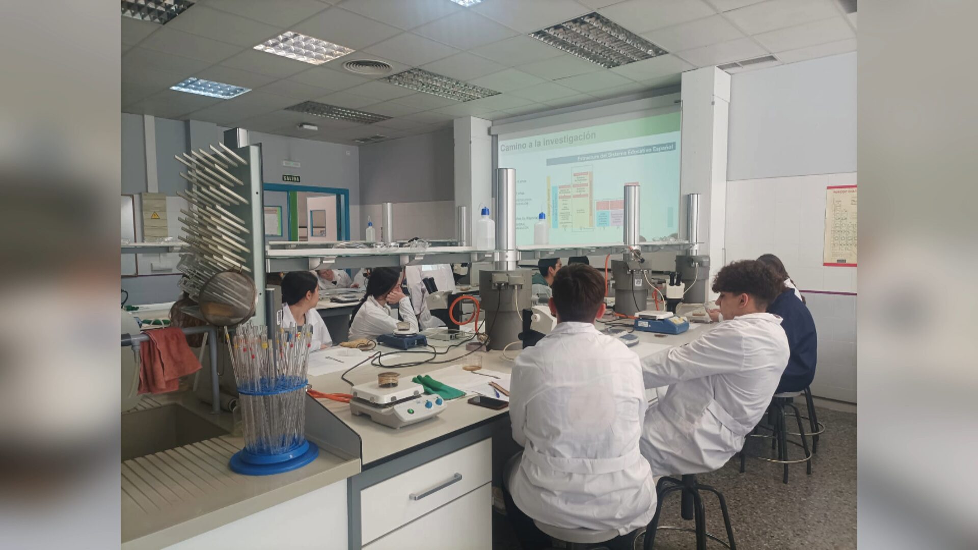 Lee más sobre el artículo Alumnos del IES Eduardo Janeiro participan en los proyectos de SCIENCIES desarrollados por la Universidad de Málaga