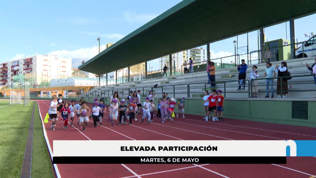 Lee más sobre el artículo Casi 10.000 alumnos participan en las actividades escolares diseñadas por el Ayuntamiento en el segundo trimestre