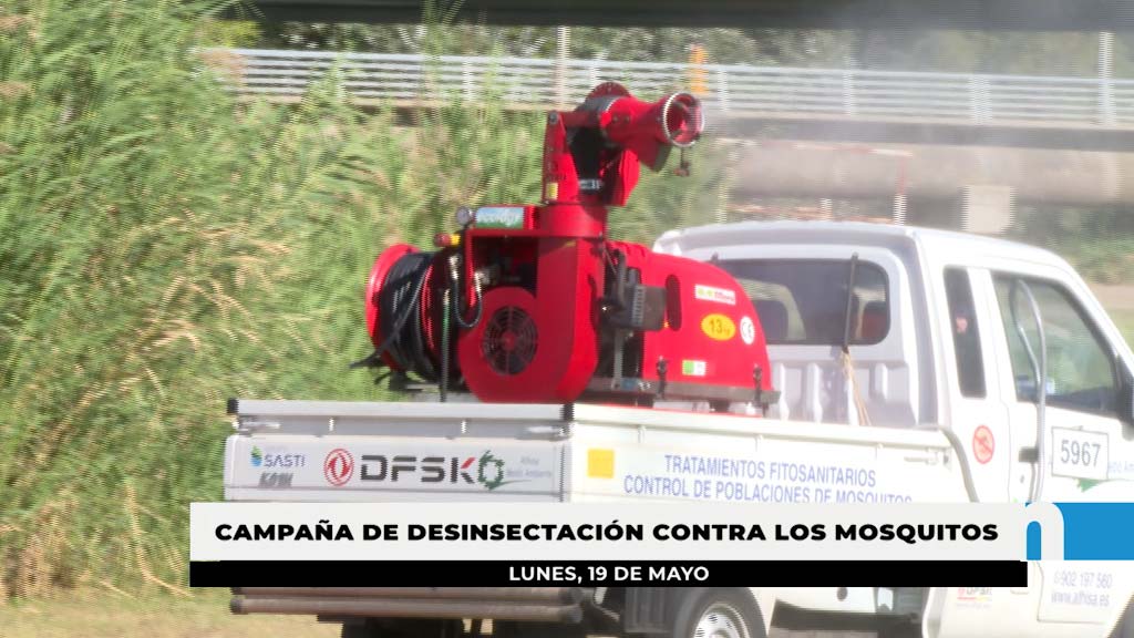 Lee más sobre el artículo Nueva campaña municipal de desinsectación