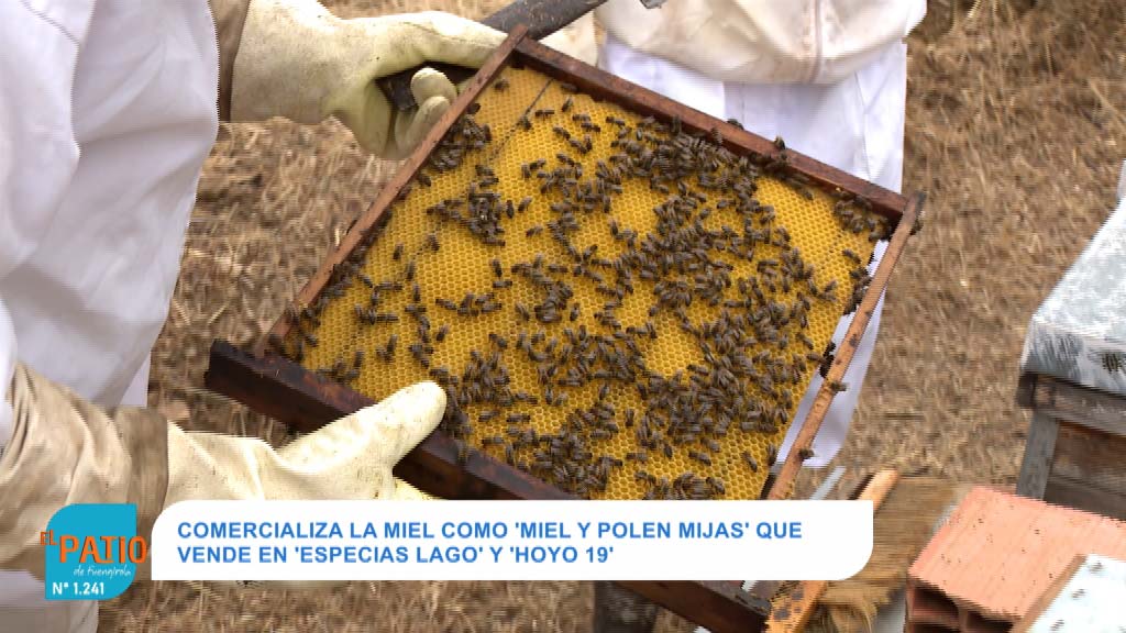 Lee más sobre el artículo APICULTOR POR DEVOCIÓN