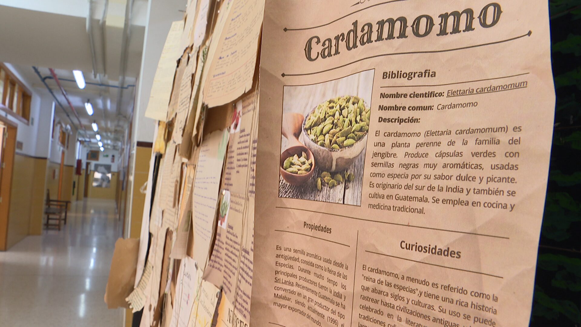 Lee más sobre el artículo El Instituto Mercedes Labrador expone en el vestíbulo la muestra “Olores del Mediterráneo”