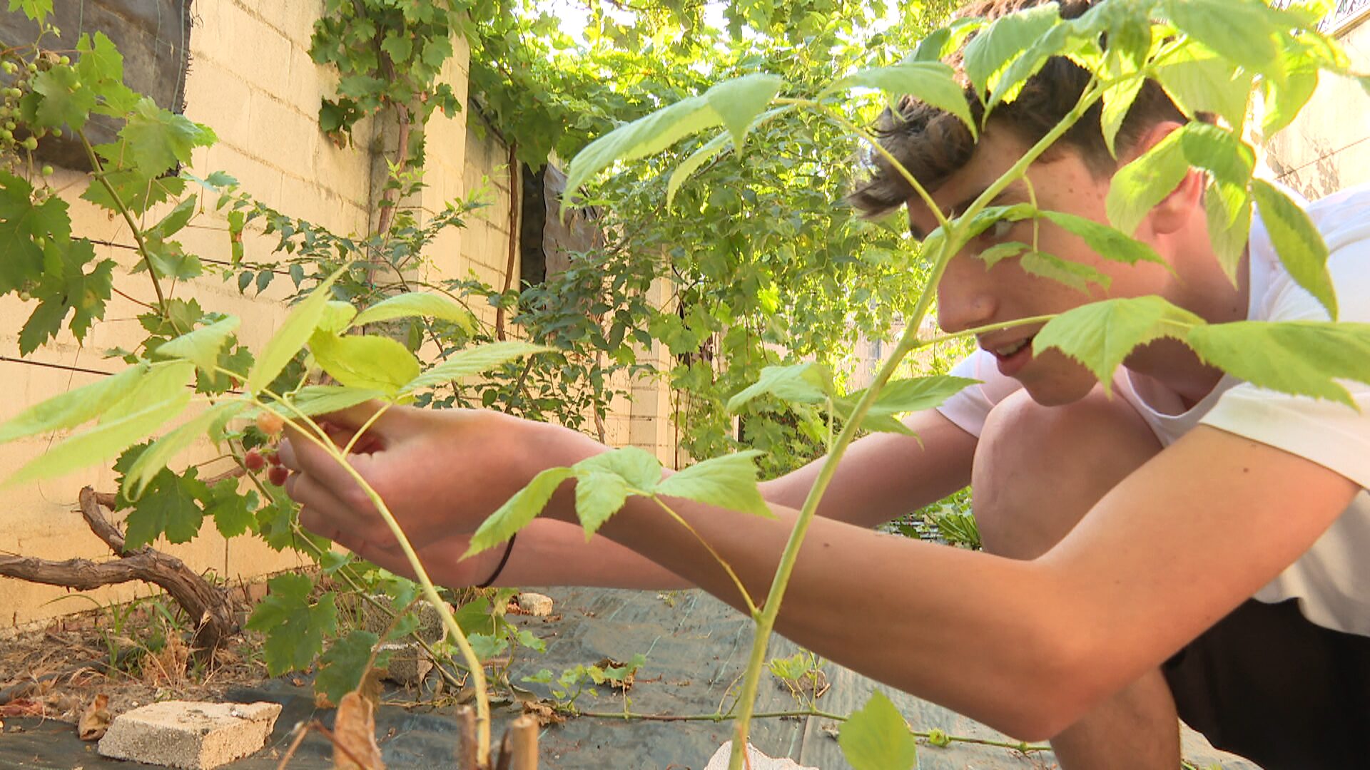 Lee más sobre el artículo Los alumnos del Instituto Las Salinas han trabajado en un nuevo proyecto de su huerto
