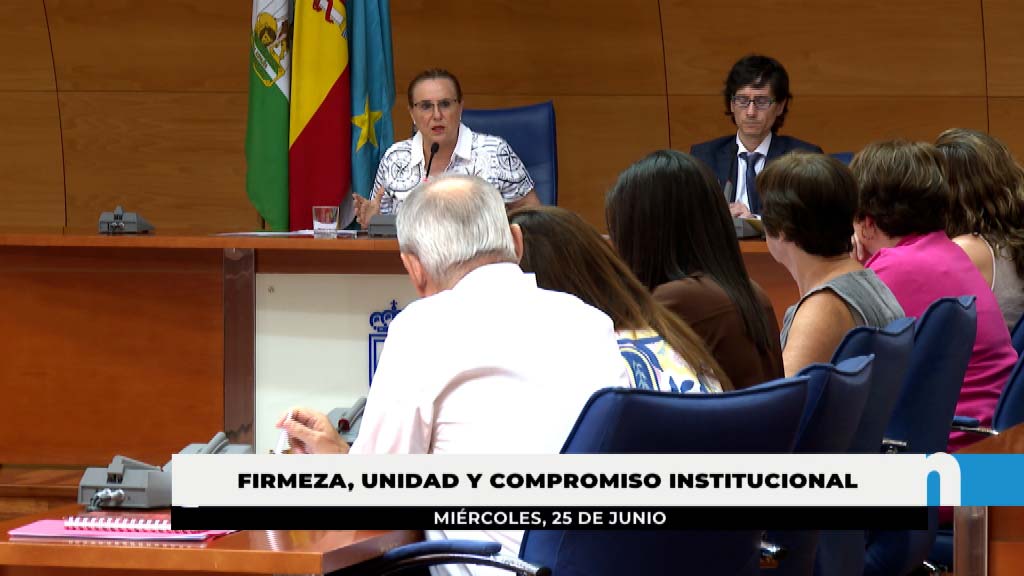 Lee más sobre el artículo El pleno exige al Gobierno reforzar los medios materiales y humanos en la lucha contra el crimen organizado