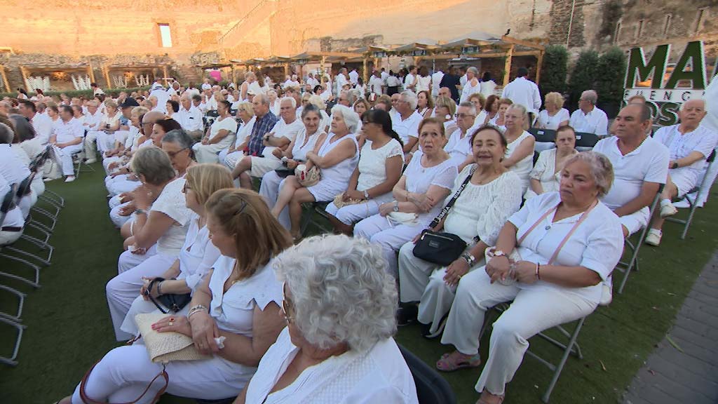 Lee más sobre el artículo 800 mayores participan en la Noche en Blanco