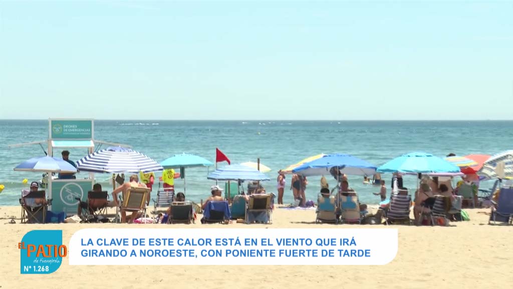 Lee más sobre el artículo ¿QUÉ HACER ANTE UN EPISODIO DE CALOR?