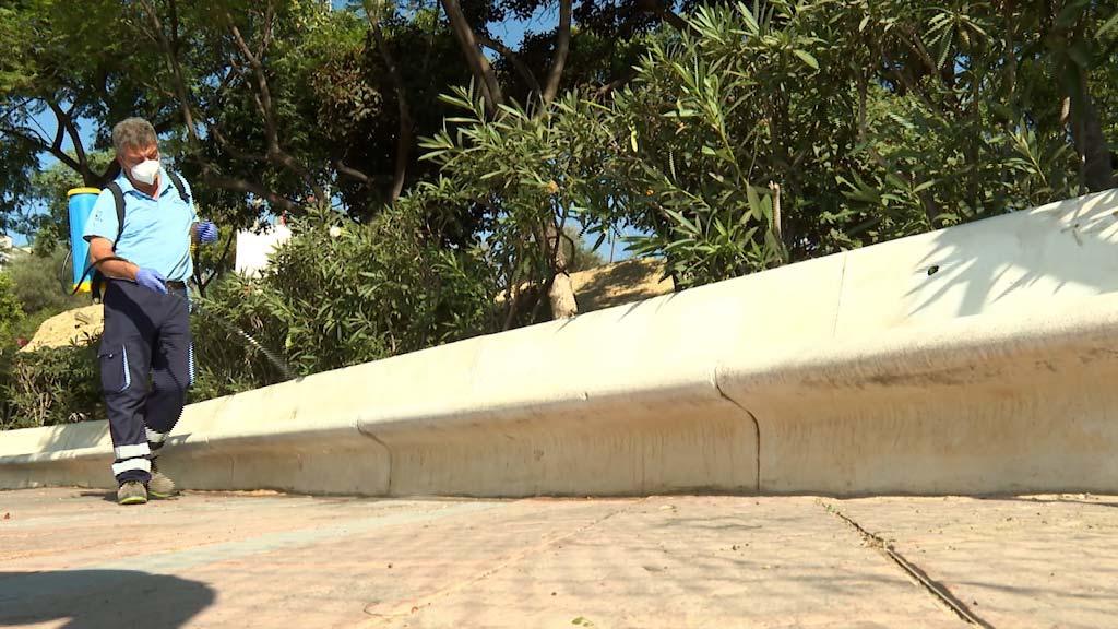 Lee más sobre el artículo El Ayuntamiento desarrolla en verano una campaña de desinsectación