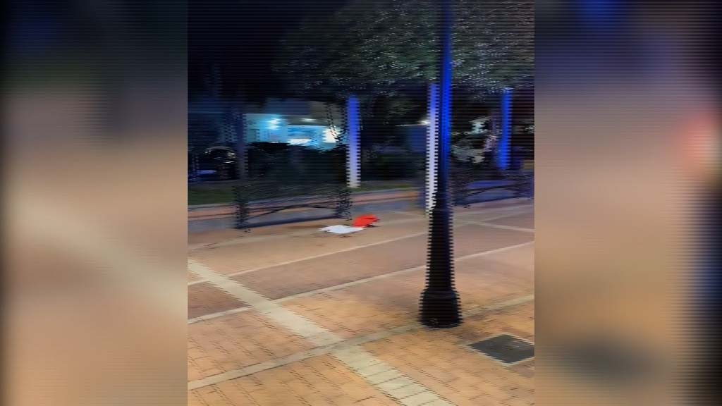 Lee más sobre el artículo Las cámaras de seguridad del Ayuntamiento permiten localizar y detener a la supuesta autora de un apuñalamiento