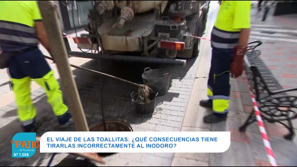 Lee más sobre el artículo El viaje de las toallistas en el Patio