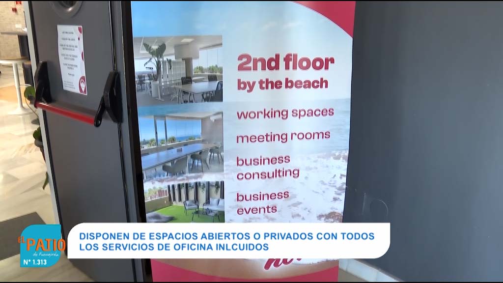 Lee más sobre el artículo Fuengirola, destino laboral internacional