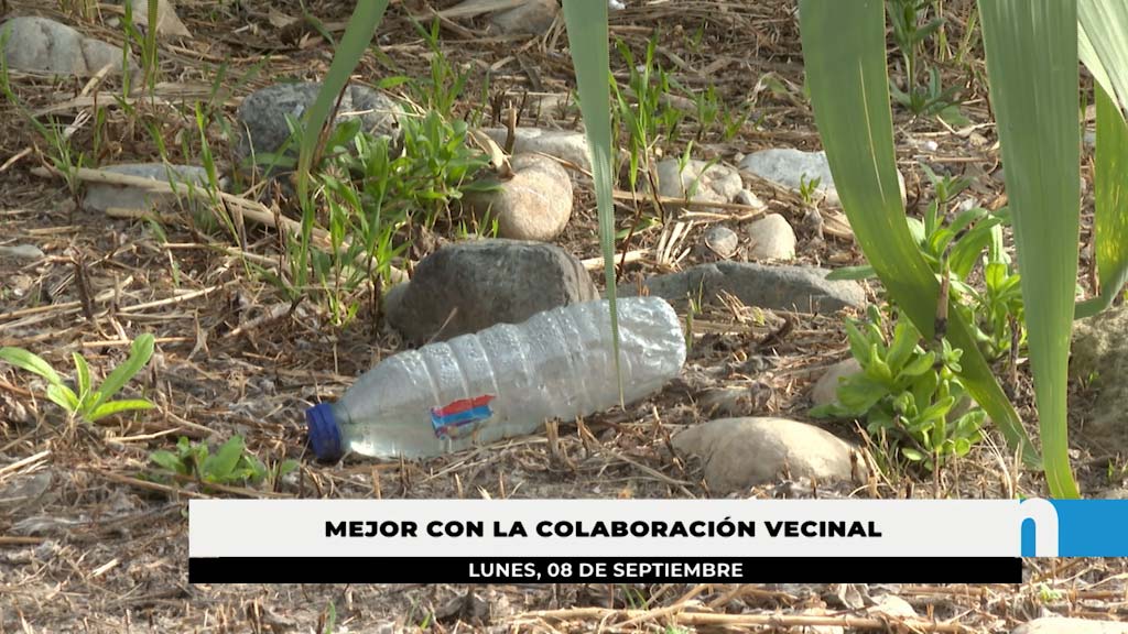 Lee más sobre el artículo El Ayuntamiento lleva a cabo trabajos periódicos de limpieza de arroyos