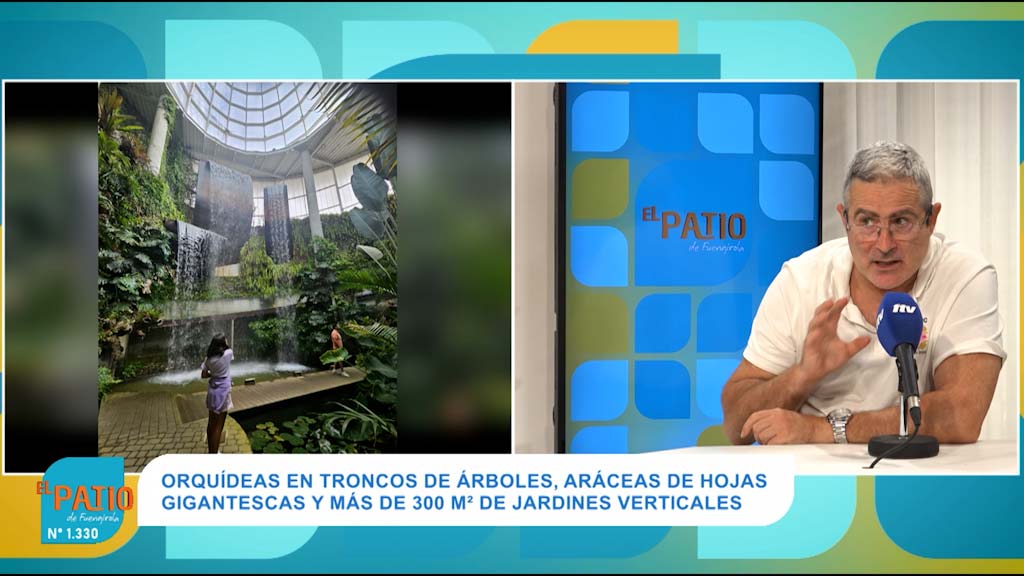 Lee más sobre el artículo ORQUIDARIO DE ESTEPONA