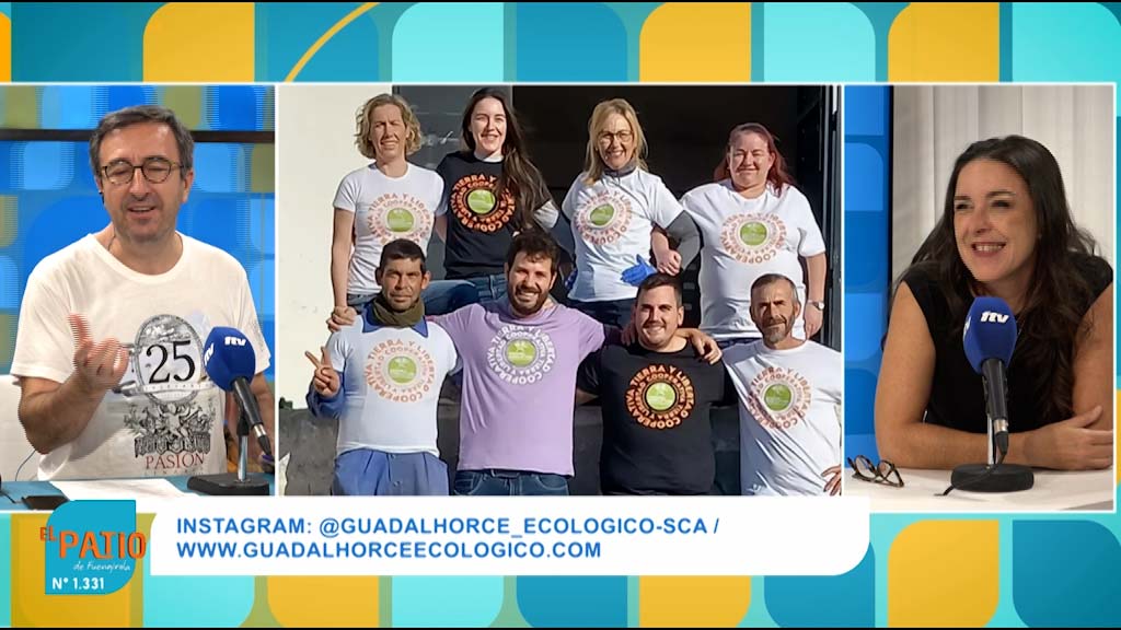 Lee más sobre el artículo LOS CÍTRICOS DEL VALLE DEL GUADALHORCE