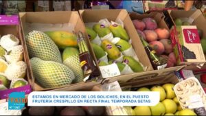 SETAS, BUENAS PARA SISTEMA INMUNE