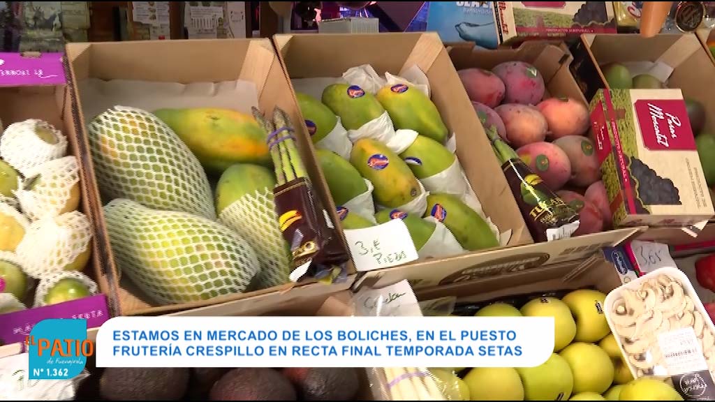 Lee más sobre el artículo SETAS, BUENAS PARA SISTEMA INMUNE