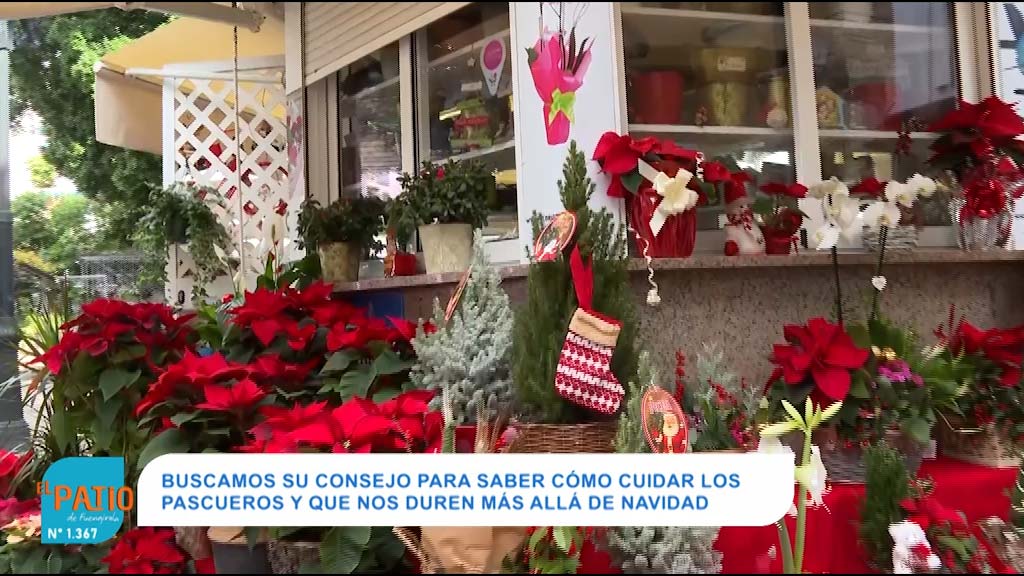 Cerca de 40 años dando color y vida con flores