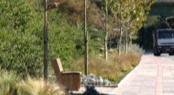 PLAN DE REPOBLACIÓN VEGETAL