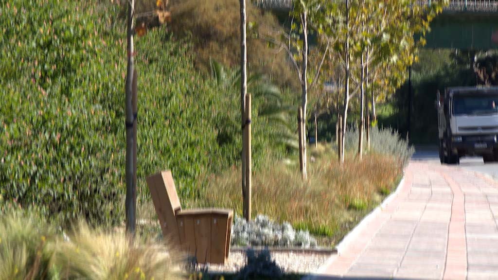 Lee más sobre el artículo PLAN DE REPOBLACIÓN VEGETAL