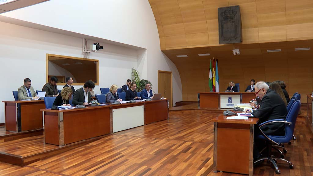 Lee más sobre el artículo El último Pleno del año aprueba el Plan Normativo del Ayuntamiento para 2026