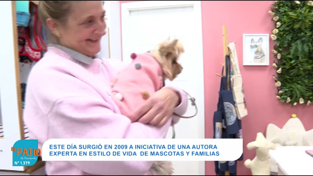 Lee más sobre el artículo Día mundial de vestir a las mascotas