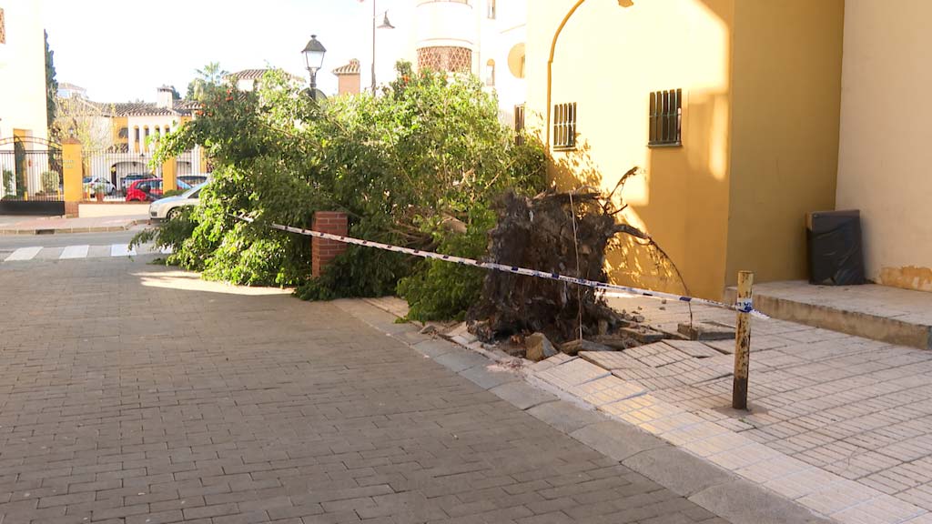 Lee más sobre el artículo Fuengirola vuelve a la normalidad tras los temporales de lluvia y viento