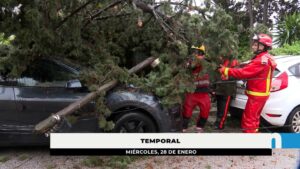 El temporal Kristin ha dejado numerosas incidencias a su paso por Fuengirola