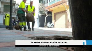 Culmina el Plan de Repoblación Vegetal con más de 200 nuevos árboles plantados