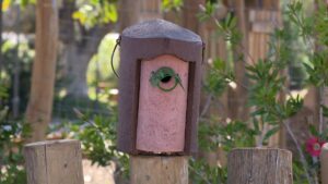 Plan de Mejora de la Biodiversidad Urbana en Fuengirola: medidas para una ciudad más sostenible