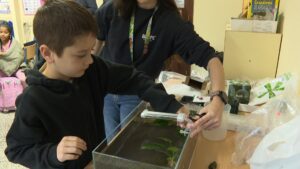 El Colegio Andalucía participa en el proyecto educativo Naturaleza en el Aula impulsado por Bioparc Fuengirola