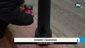 Fuengirola obligará a usar botellitas para diluir los orines caninos en la vía pública