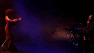 El Palacio de la Paz acogerá el sábado 28 el espectáculo de danza “Salvaje”