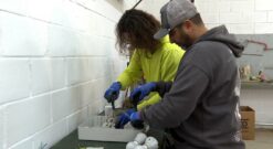 15 desempleados fuengiroleños completan el curso de Mantenimiento General de Edificios