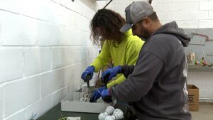 15 desempleados fuengiroleños completan el curso de Mantenimiento General de Edificios