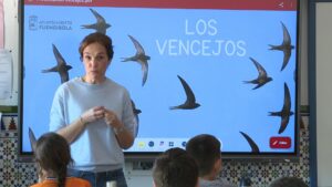Los escolares del CEIP Azahar asisten a un taller municipal de construcción de cajas nido para vencejos