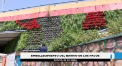 El Ayuntamiento renueva el jardín vertical del puente de Los Pacos