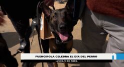 Éxito de participación del XV Día del Perro