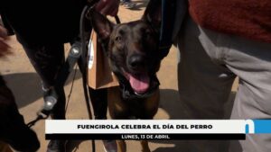 Éxito de participación del XV Día del Perro