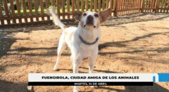 Más de 15.000 mascotas censadas y 11.000 metros cuadrados de parques caninos