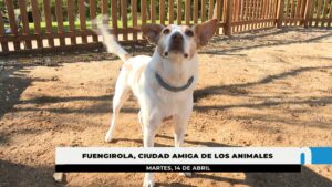 Más de 15.000 mascotas censadas y 11.000 metros cuadrados de parques caninos