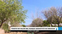 El Ayuntamiento renueva el Parque Aromático de Miramar