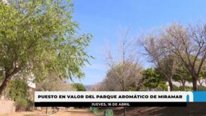 El Ayuntamiento renueva el Parque Aromático de Miramar