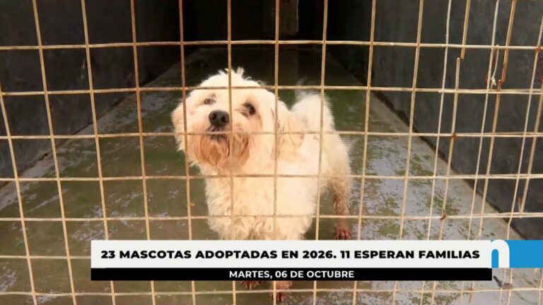 23 mascotas adoptadas en el Parque Zoosanitario en lo que llevamos de año